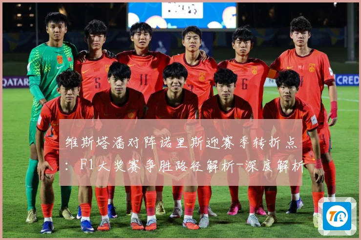 维斯塔潘对阵诺里斯迎赛季转折点：F1大奖赛争胜路径解析-深度解析